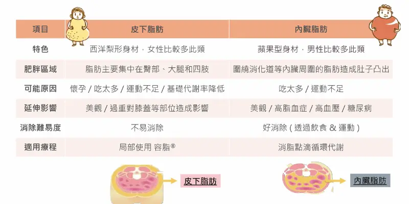 溶脂針推薦10