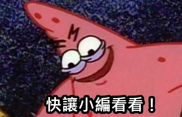 洢蓮絲正貨網美牆2 洢蓮絲(少女針,奇蹟針)網美牆2