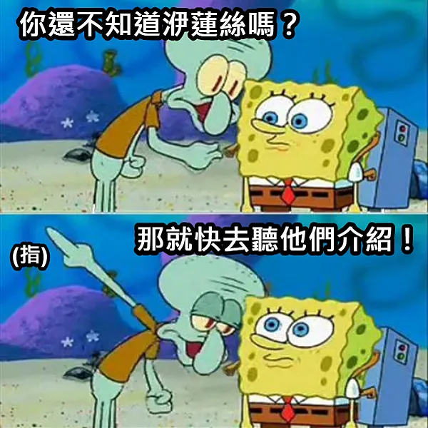 洢蓮絲正貨網美牆3 洢蓮絲(少女針,奇蹟針)網美牆3